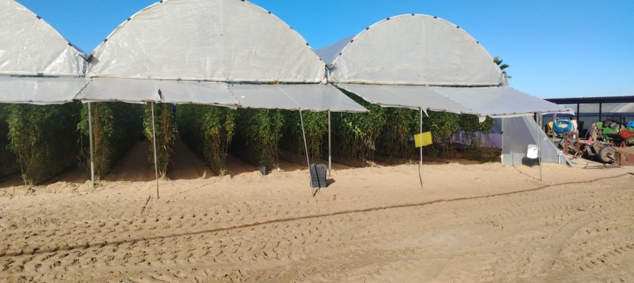 3 Bedroom Property for Sale in Tierfontein AH Western Cape